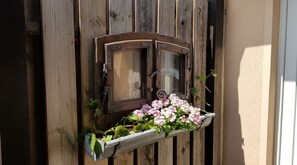 Immagine non classificata, 4 di 27, pulsante