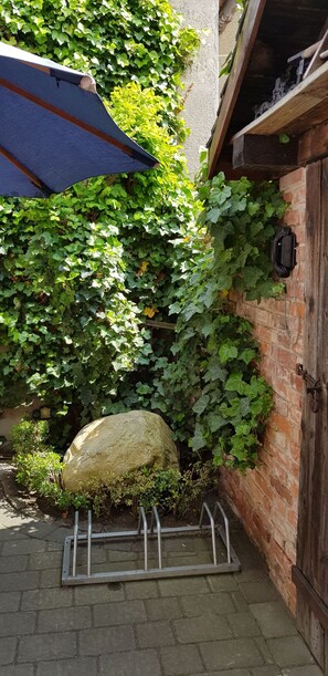 Immagine non classificata, 3 di 27, pulsante