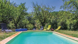 Une piscine rectangulaire, avec un revêtement intérieur vert et un bord carrelé, entourée de pelouse et d’arbres.