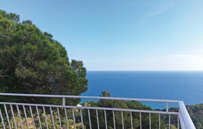 Property grounds - Gorgeous home in Blanes (Blanes)