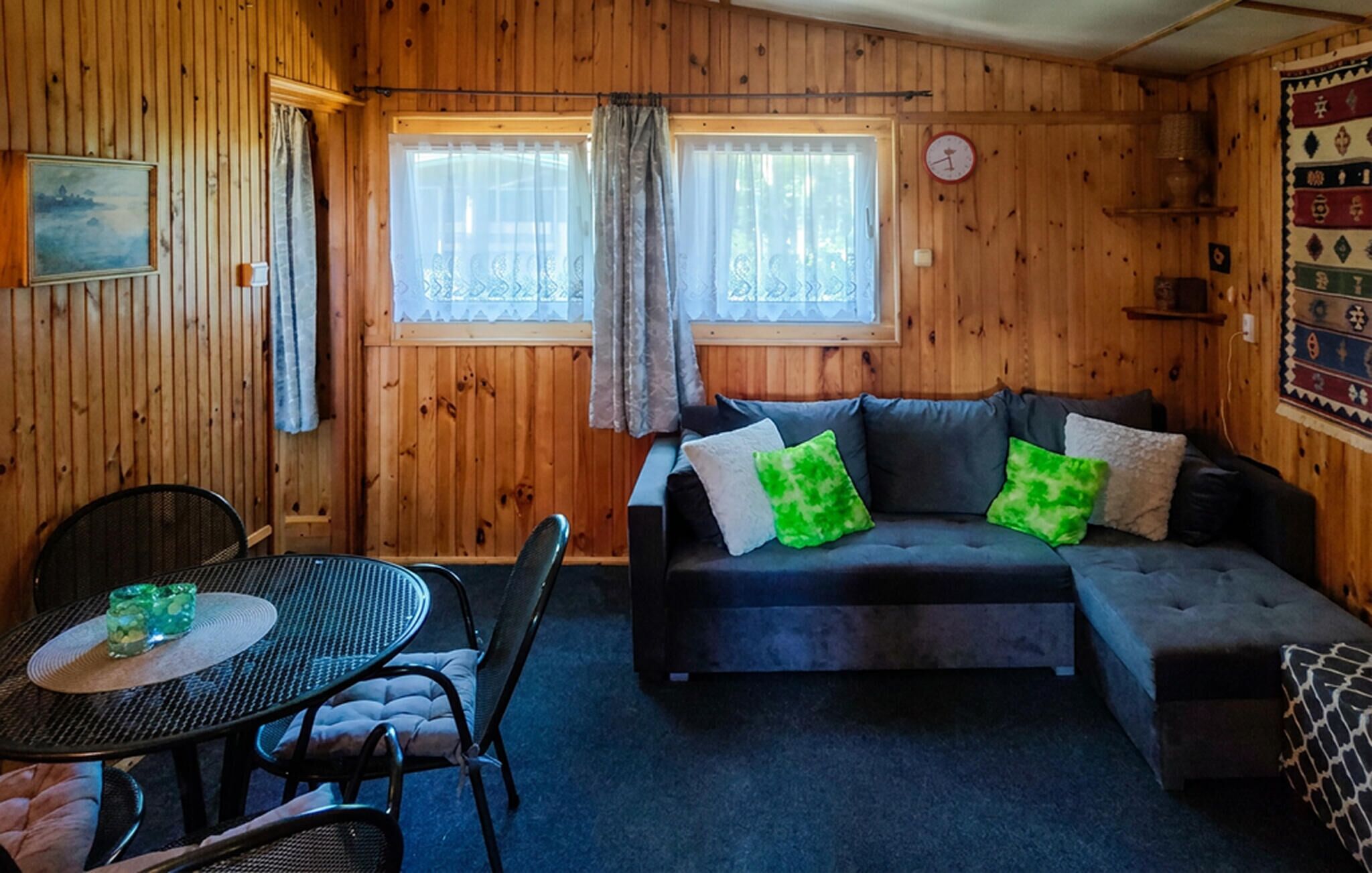 TV, fireplace, DVD player