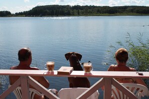 Unclassified image, 2 of 23, button