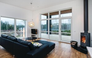 TV, fireplace, DVD player
