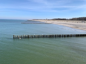 Una playa con pilotes de madera en el agua, una orilla arenosa y un cielo despejado.