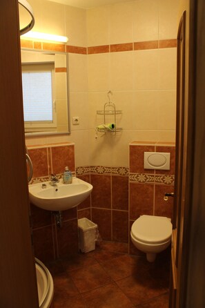 Shower, hair dryer, soap, toilet paper