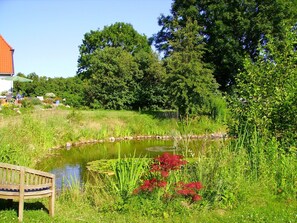 Un étang paisible avec un banc en bois, entouré d’une végétation luxuriante et d’arbres.