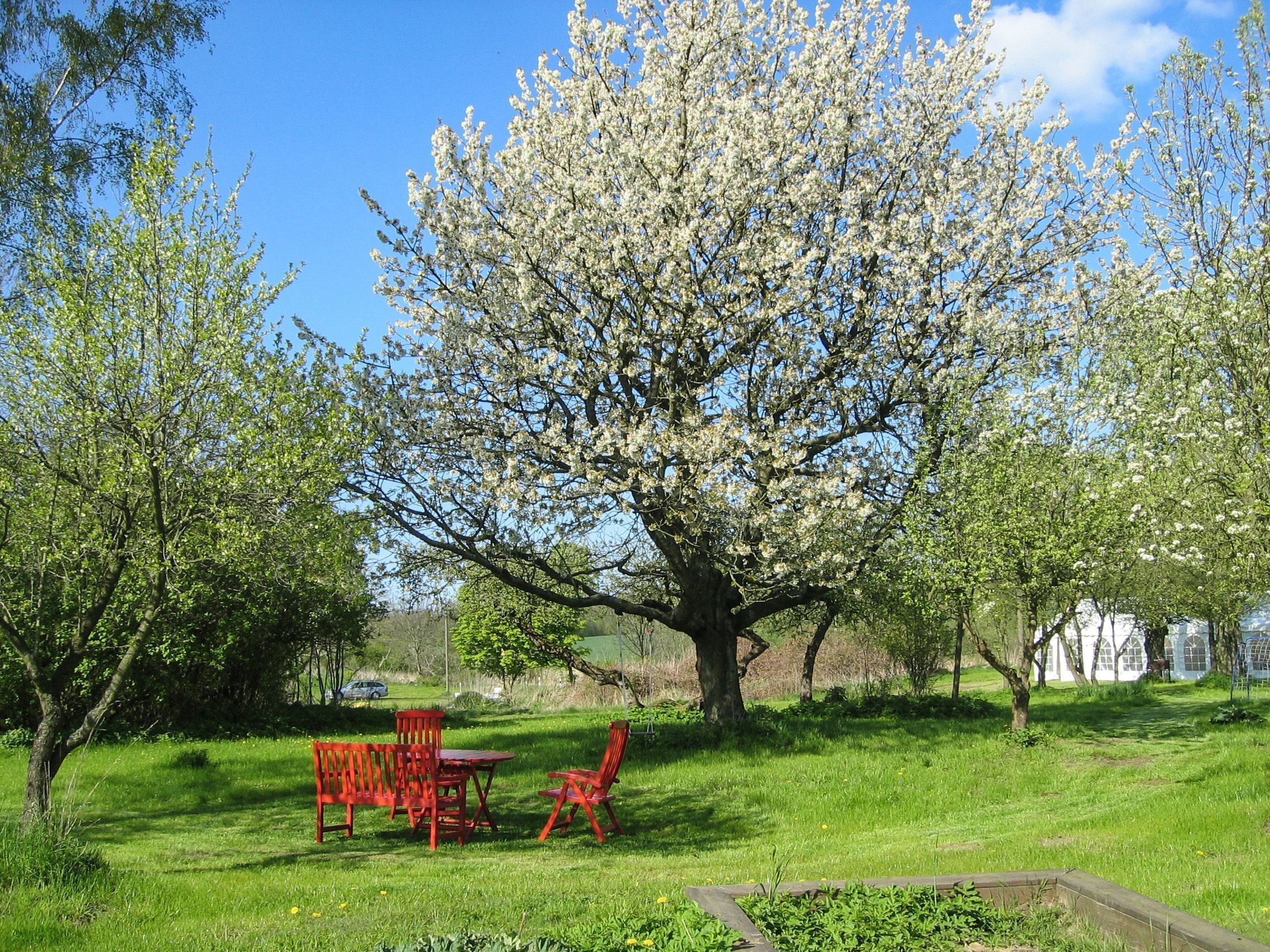 Buiten dineren