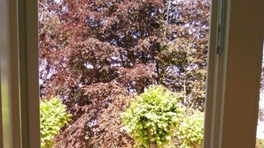 Vista da interno che si apre su un giardino con vialetto lastricato, piccolo prato e un albero dai rossi fogliame.