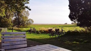 Imagen sin descripción, 5 de 15, botón