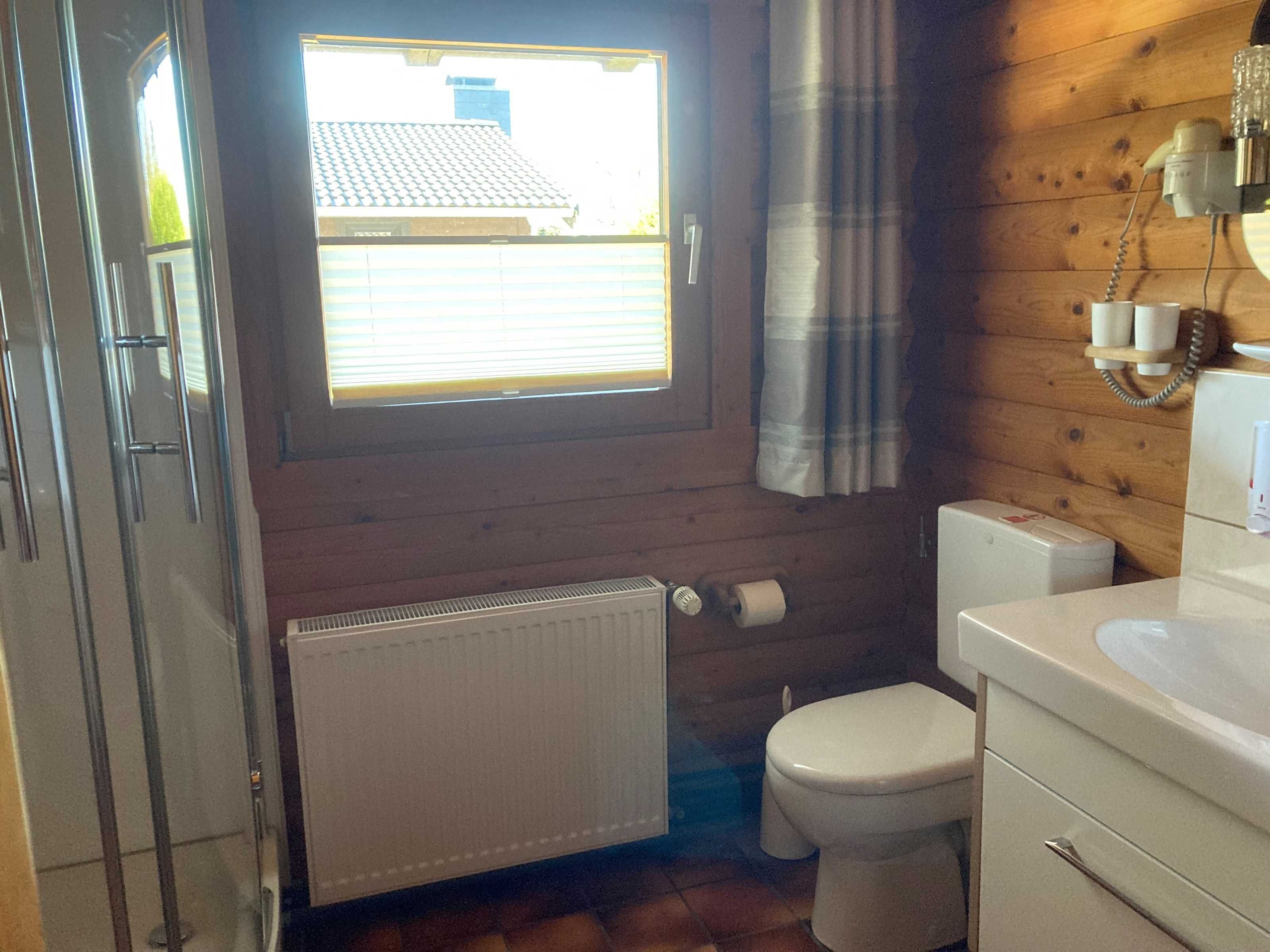 Shower, hair dryer