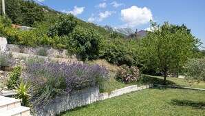 A landscaped garden with a stone wall, lavender, and a tree.