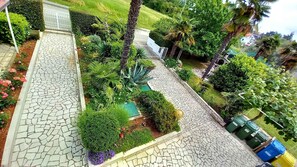 Un giardino curato con vialetto lastricato, palme e diversi arbusti.