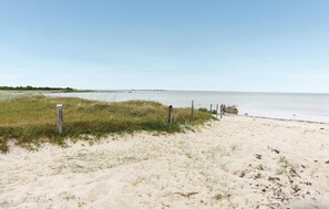 بالقرب من الشاطئ، صيد الأسماك