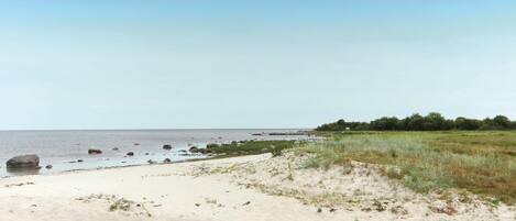 Vlak bij het strand, vissen