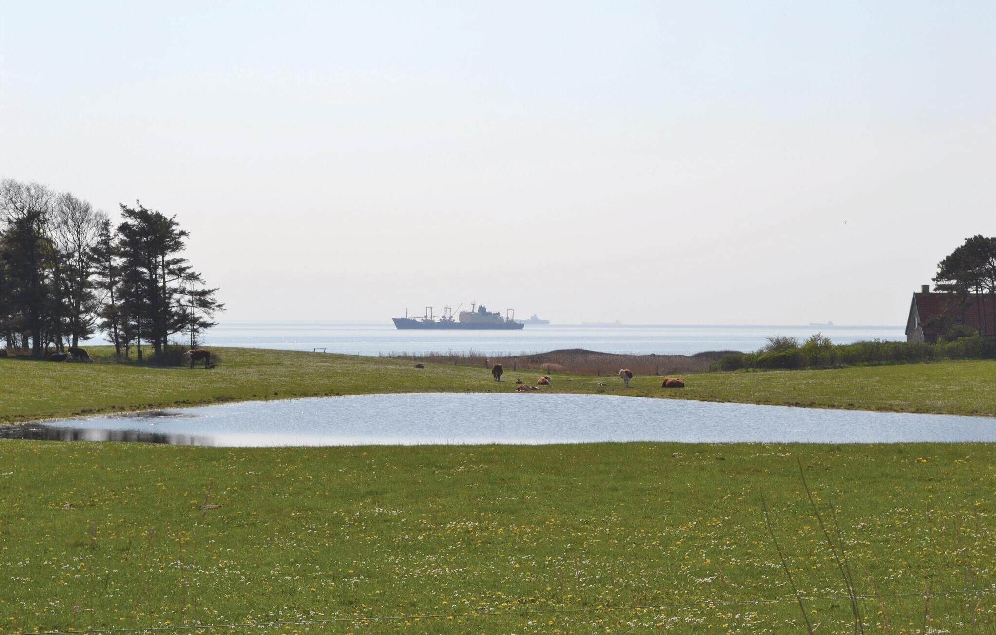 A grassy field with a body of water in the foreground and a ship in the distance.