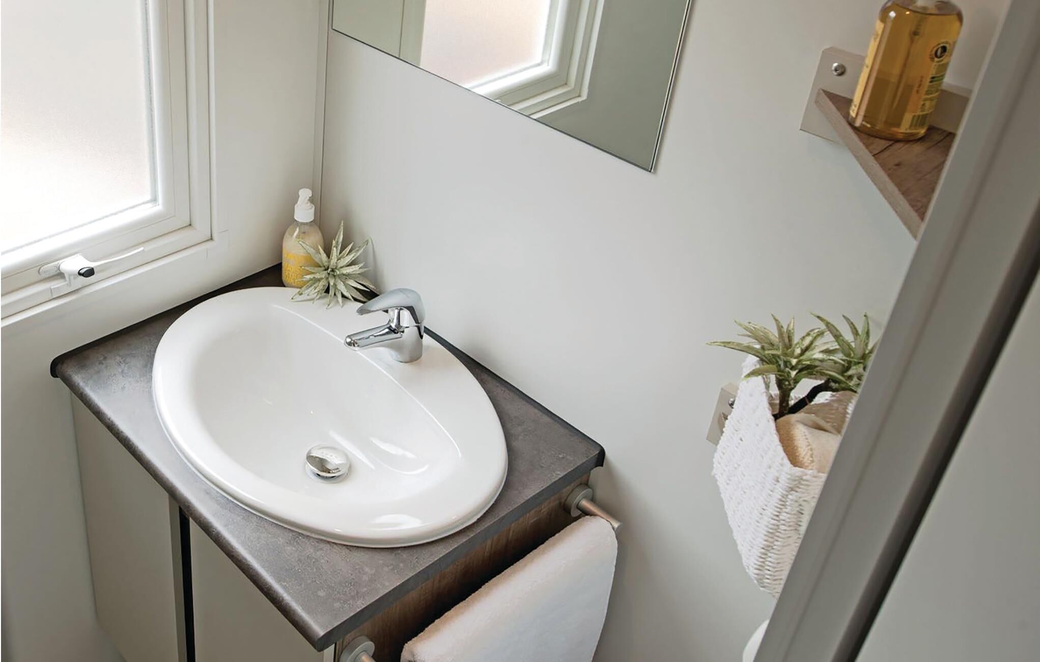 A bathroom with a white sink, a mirror, a towel rack, and a small plant.