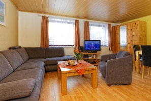 電視、壁爐、電子遊戲