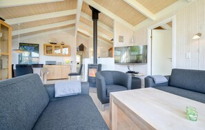 Fernseher, Kamin, DVD-Player