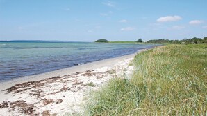 Ein Strand mit klarem Wasser, sandigem Ufer und Grünflächen.