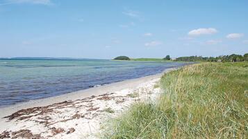 Tæt på stranden, fiskeri