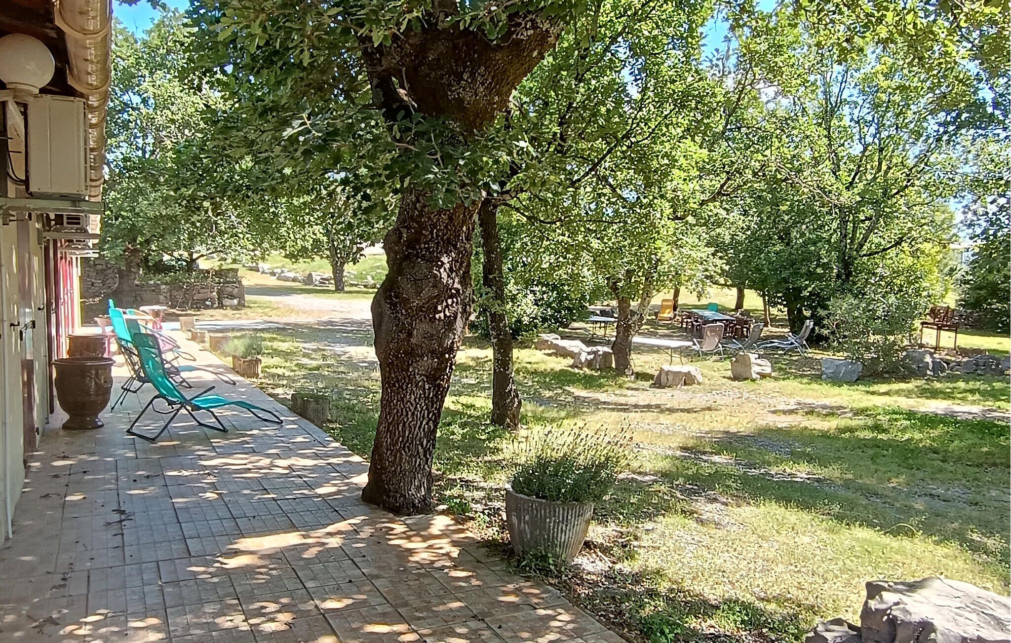 Eine Terrasse mit Sitzgelegenheiten im Freien, ein großer Baum und ein gepflasterter Weg.