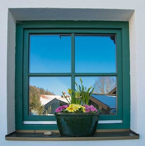 A window with a green frame and a potted plant with flowers. - House Strillinger, Kreuth-Riedlern - Vacation Apartment Strillinger (Kreuth)