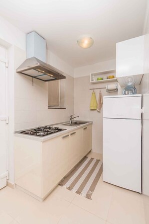 Fridge, stovetop, toaster, cookware/dishes/utensils