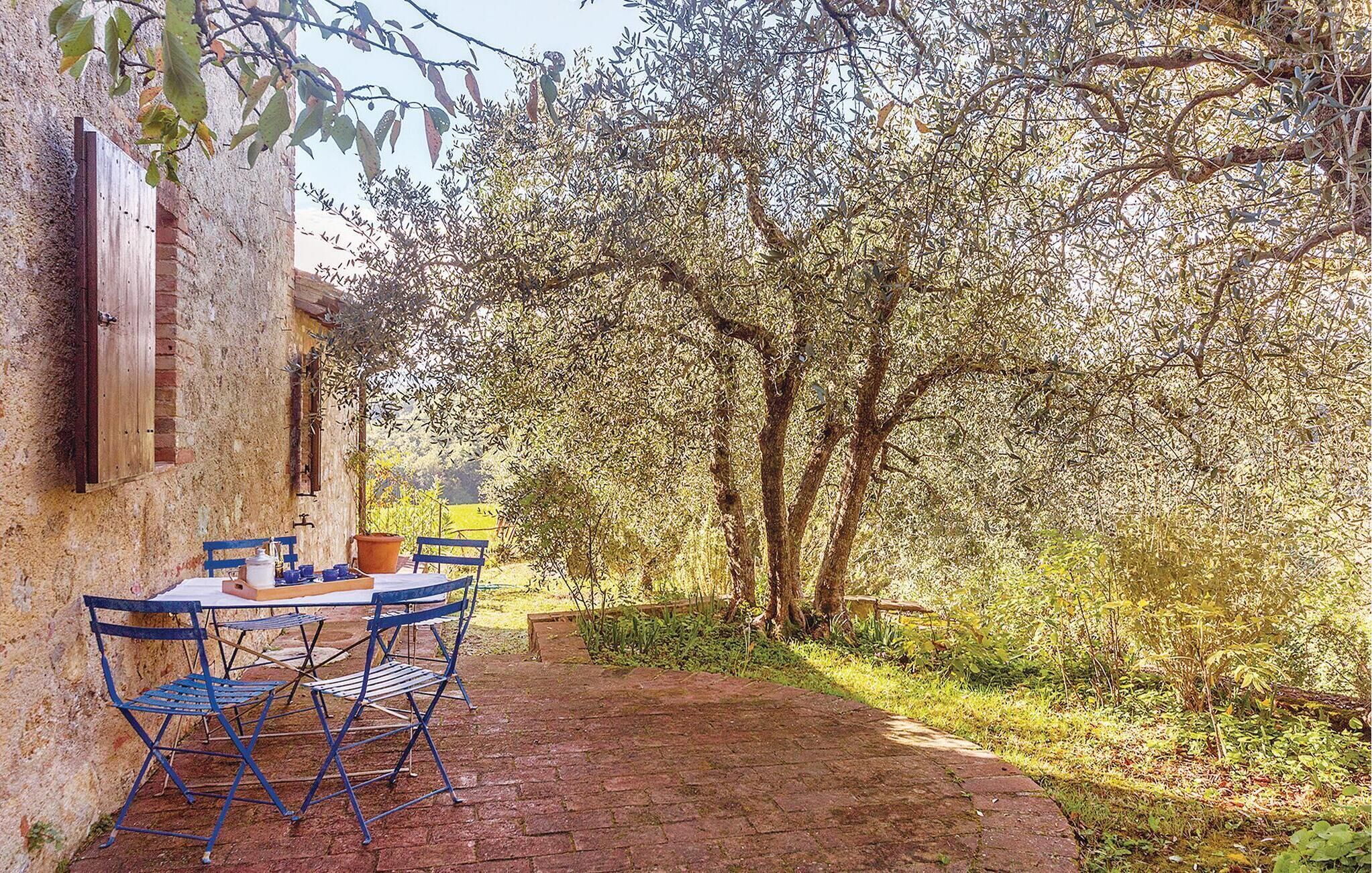 A rustic outdoor dining area with a brick pathway, a table with blue chairs, and a backdrop of olive trees.