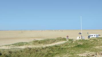 Tæt på stranden, fiskeri