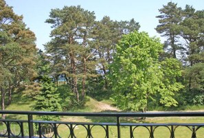 Blick auf ein bewaldetes Gebiet mit einem Metallgeländer im Vordergrund.