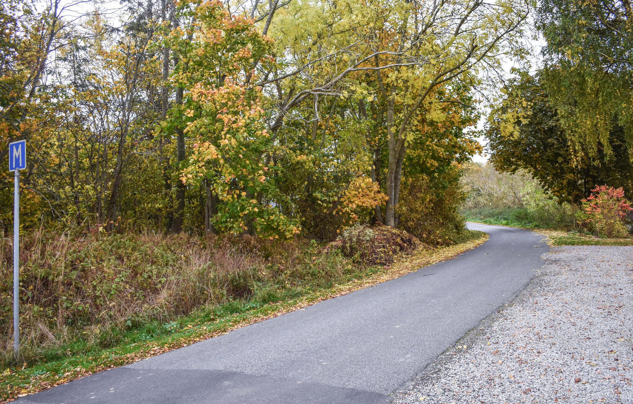 A rural road flanked by autumn foliage and a blue sign with a white 'M'.