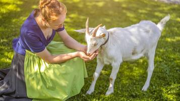 A person kneeling on grass, interacting with a white goat.