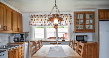 4 bedroom lovely home in Holmsjö