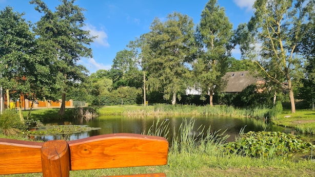 A wooden bench overlooking a pond with surrounding greenery and trees. - Apartment 2/ 2-room (45m²; 1-2 pers.) - Country vacation near Ostseebad Rerik (Biendorf)