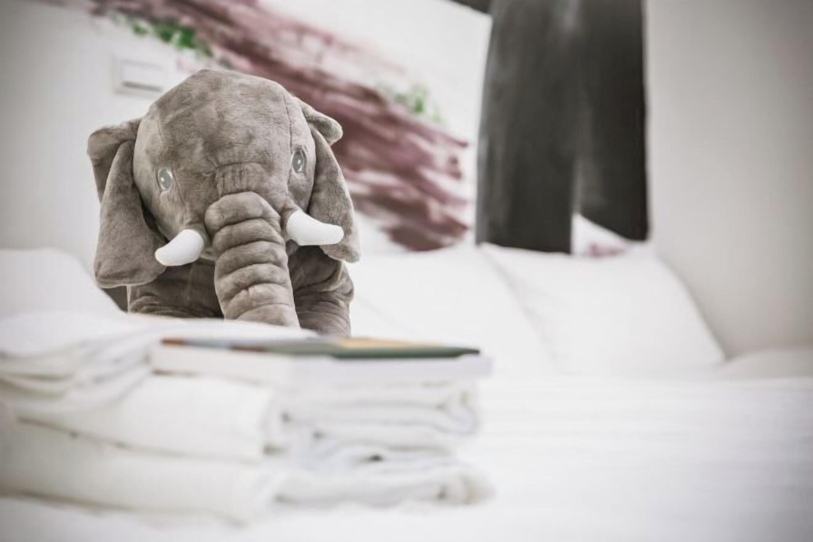 Skrivebord, blendingsgardiner, lydisolert og strykejern/-brett