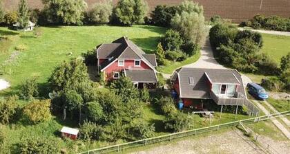Ferienwohnung auf dem Bauernhof - Ferienwohnung