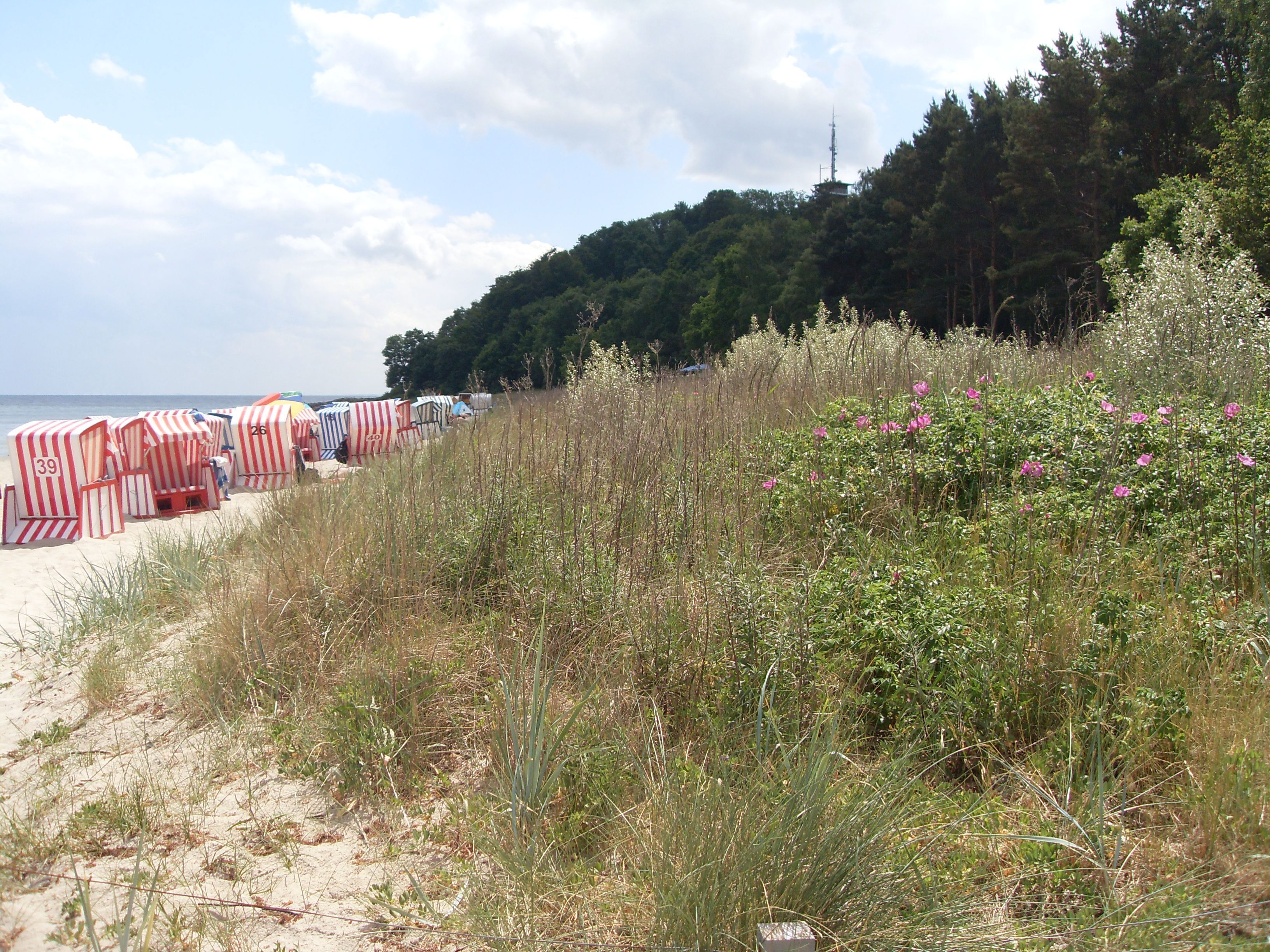 Beach huts with numbers, a sandy beach, and a forested hill in the background.