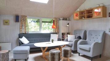 TV, fireplace, DVD player