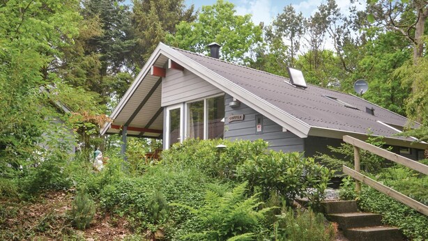 A small, single-story house with a sloped roof, surrounded by dense greenery and trees. - Pet friendly home in Ansager with WiFi (Ansager)