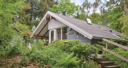 Pet friendly home in Ansager with WiFi