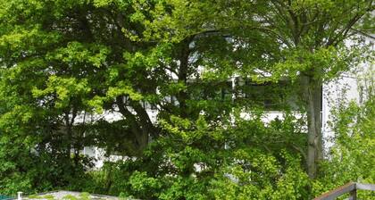102 3-room balcony (BC.a5) - BUE - House Reni
