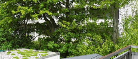 住宿地面