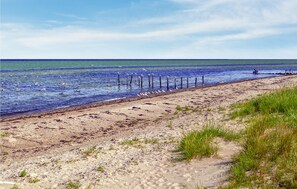 A sandy beach with seagulls and a clear blue sky.