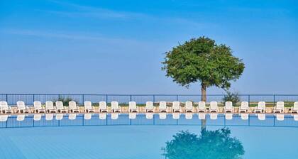 Holiday apartment with outdoor pool