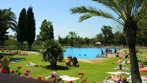 A pool area with people sunbathing and swimming, surrounded by palm trees and a grassy lawn.