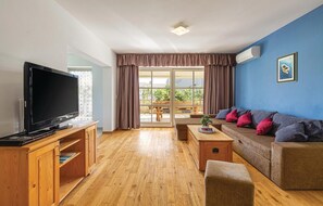 TV, DVD player, ping pong