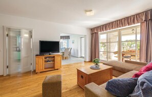 TV, DVD player, ping pong