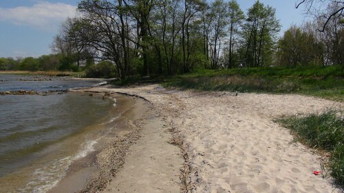 Ferienwohnung 36 - Ferienwohnungen auf Usedom