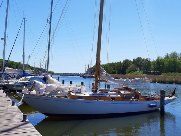 Unclassified image, 1 of 19, button