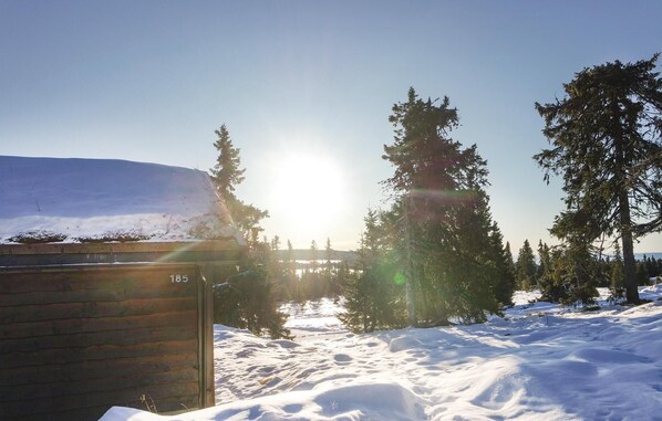 Situated in a serene natural setting, this cabin offers a peaceful retreat surrounded by tall evergreen trees.